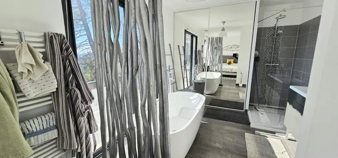 Maison Contemporaine Avec Piscine Vue Degagee Draguignan Villa